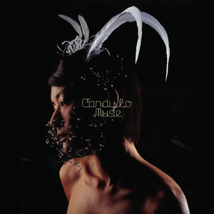 狂揉小泬少妇精品无码
