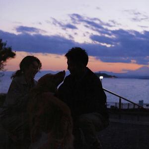 富二代成版人安卓
