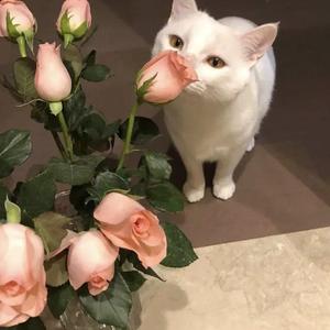 丫丫自慰97AV三级片
